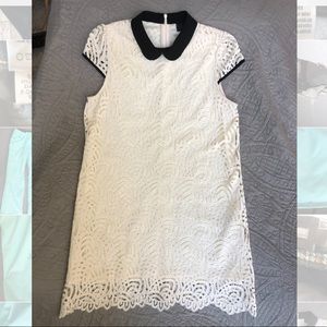 🚨FLASH SALE🚨RARE Zara Guipure Peter Pan Collar